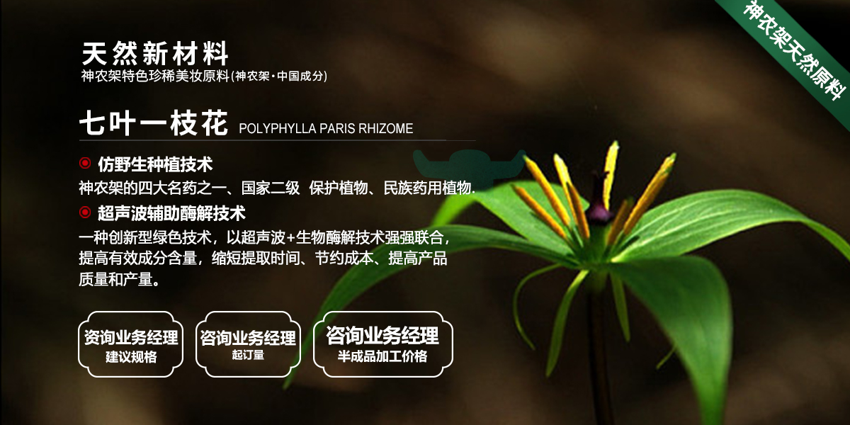 七叶一枝花banner.jpg