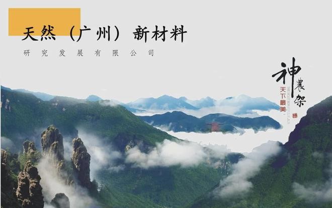 神农架新闻14.jpg