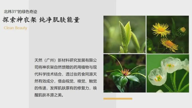 神农架新闻15.jpg