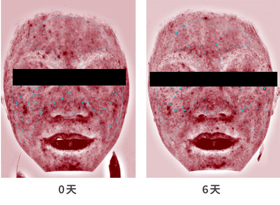 神农香菊应用测试.jpg