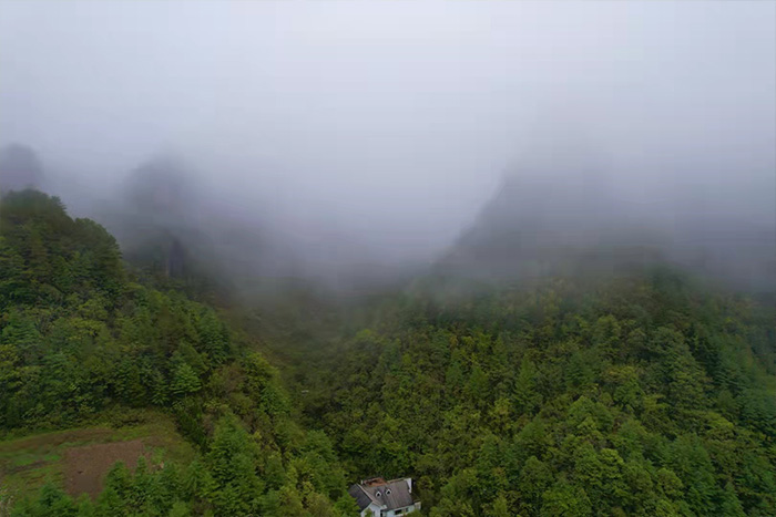 神农架山.jpg