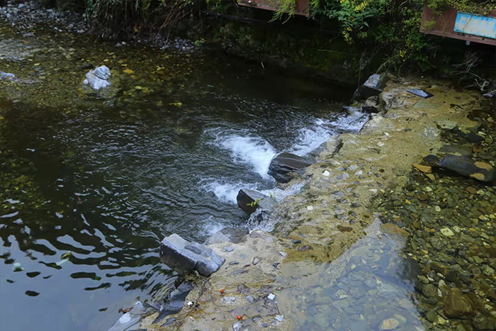 神农架河.jpg