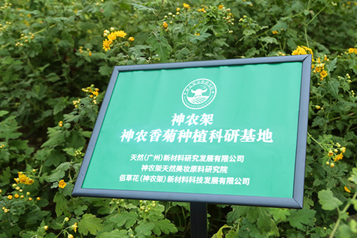 XIANGJU.jpg