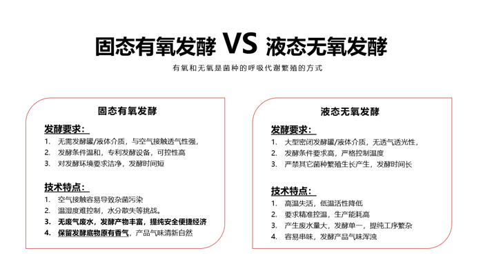 发酵.jpg