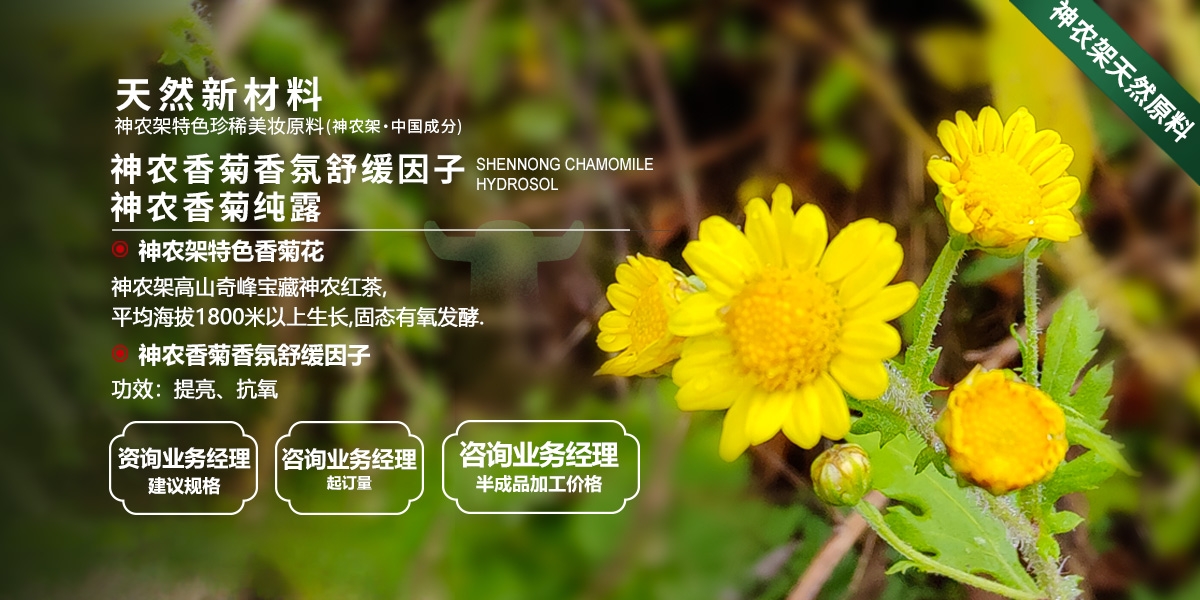 神农香菊纯露.jpg
